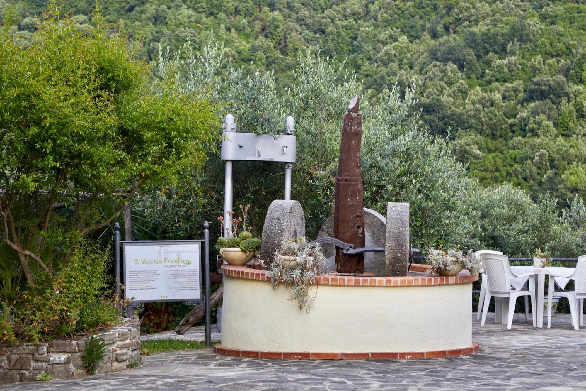 Il Vecchio Frantoio Villa Stella Cilento Buitenkant foto