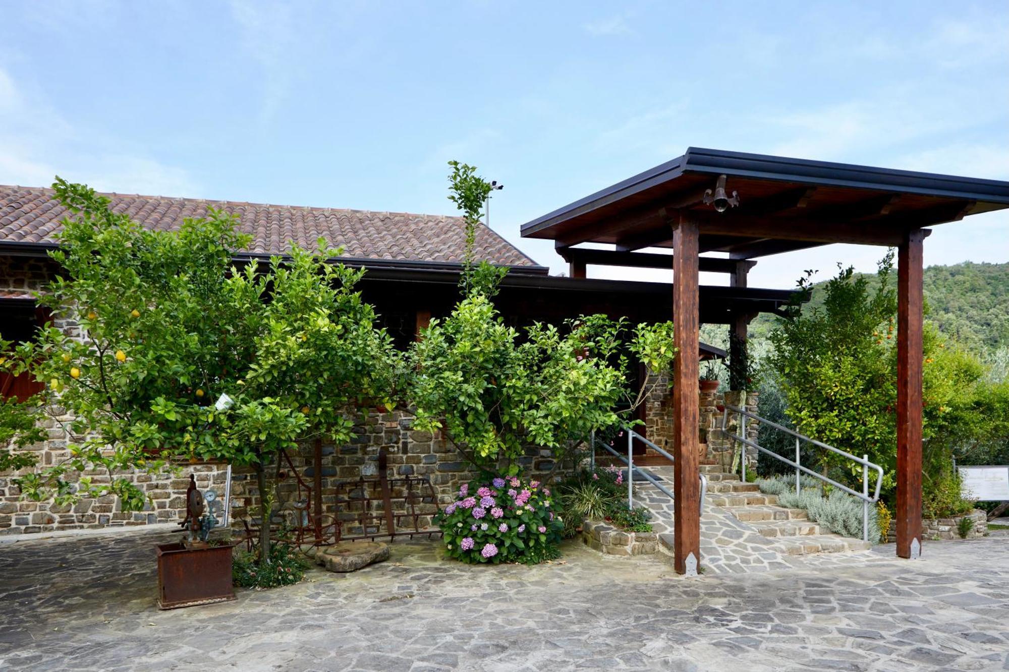 Il Vecchio Frantoio Villa Stella Cilento Buitenkant foto