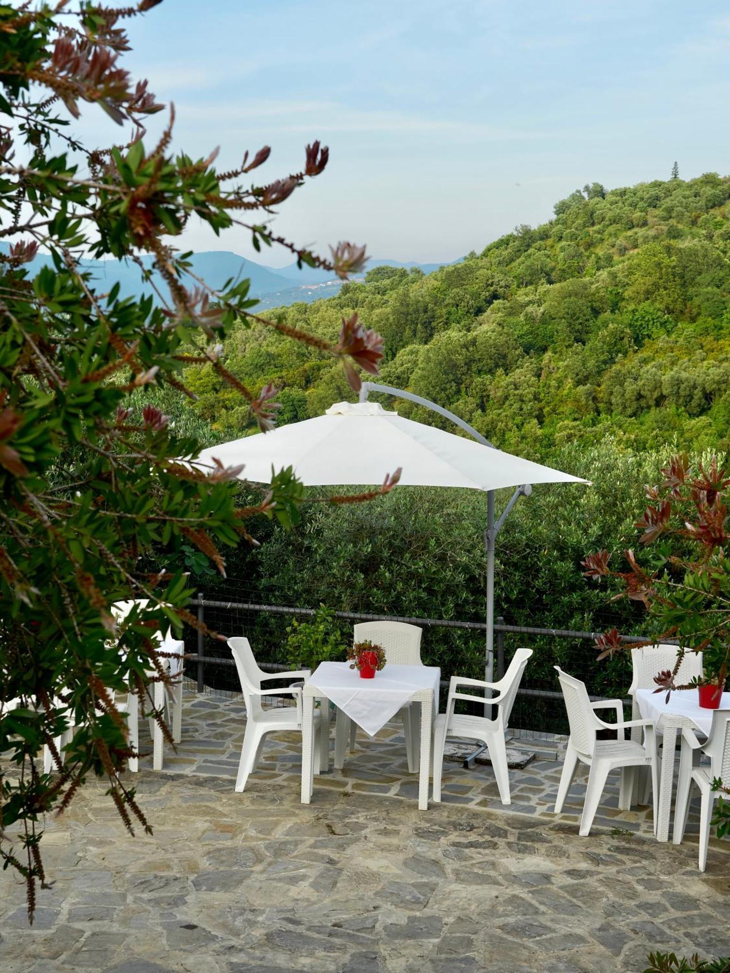 Il Vecchio Frantoio Villa Stella Cilento Buitenkant foto