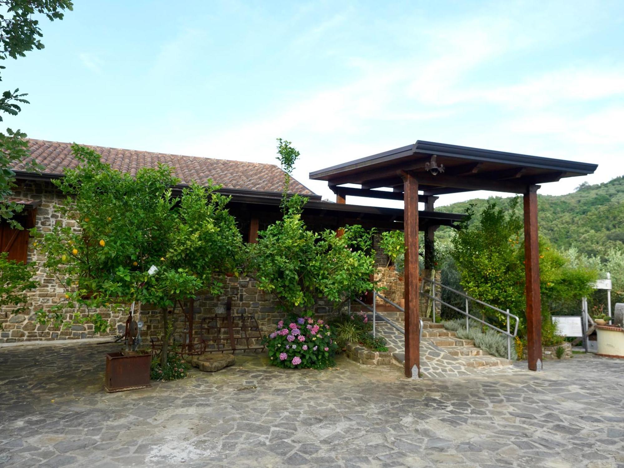 Il Vecchio Frantoio Villa Stella Cilento Buitenkant foto