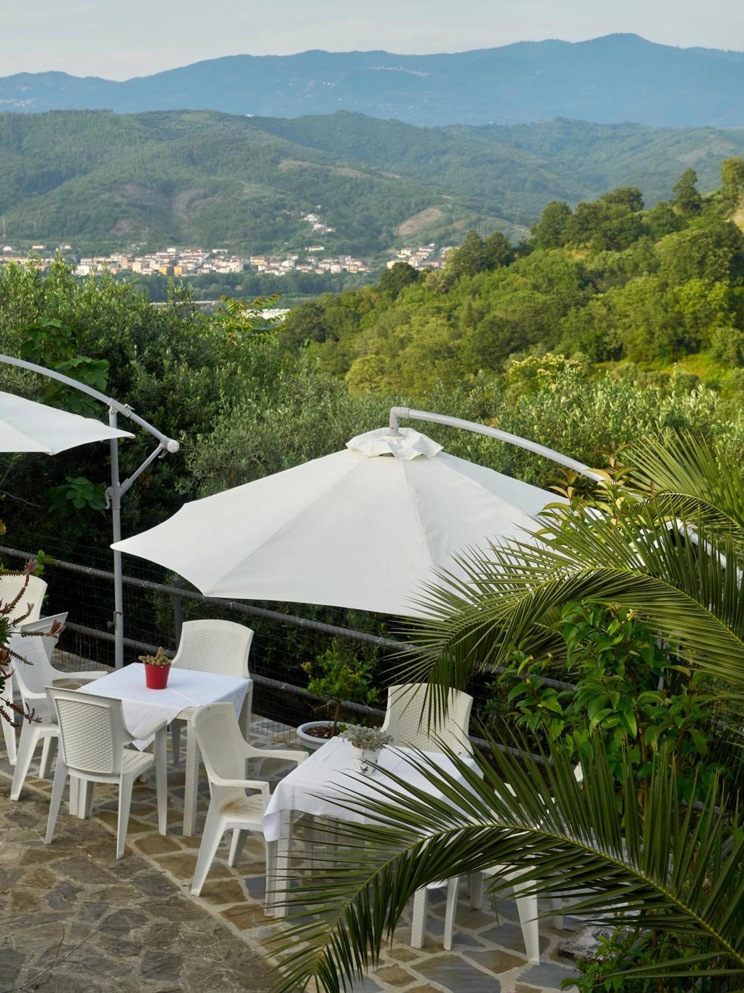 Il Vecchio Frantoio Villa Stella Cilento Buitenkant foto